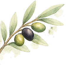 HB Boutique Apartment ad Arco, nel Garda Trentino per soggiorni esclusivi tra comfort e stile