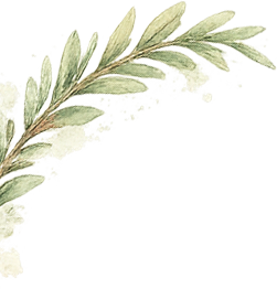 Decorazione con rametto HB Boutique Apartment