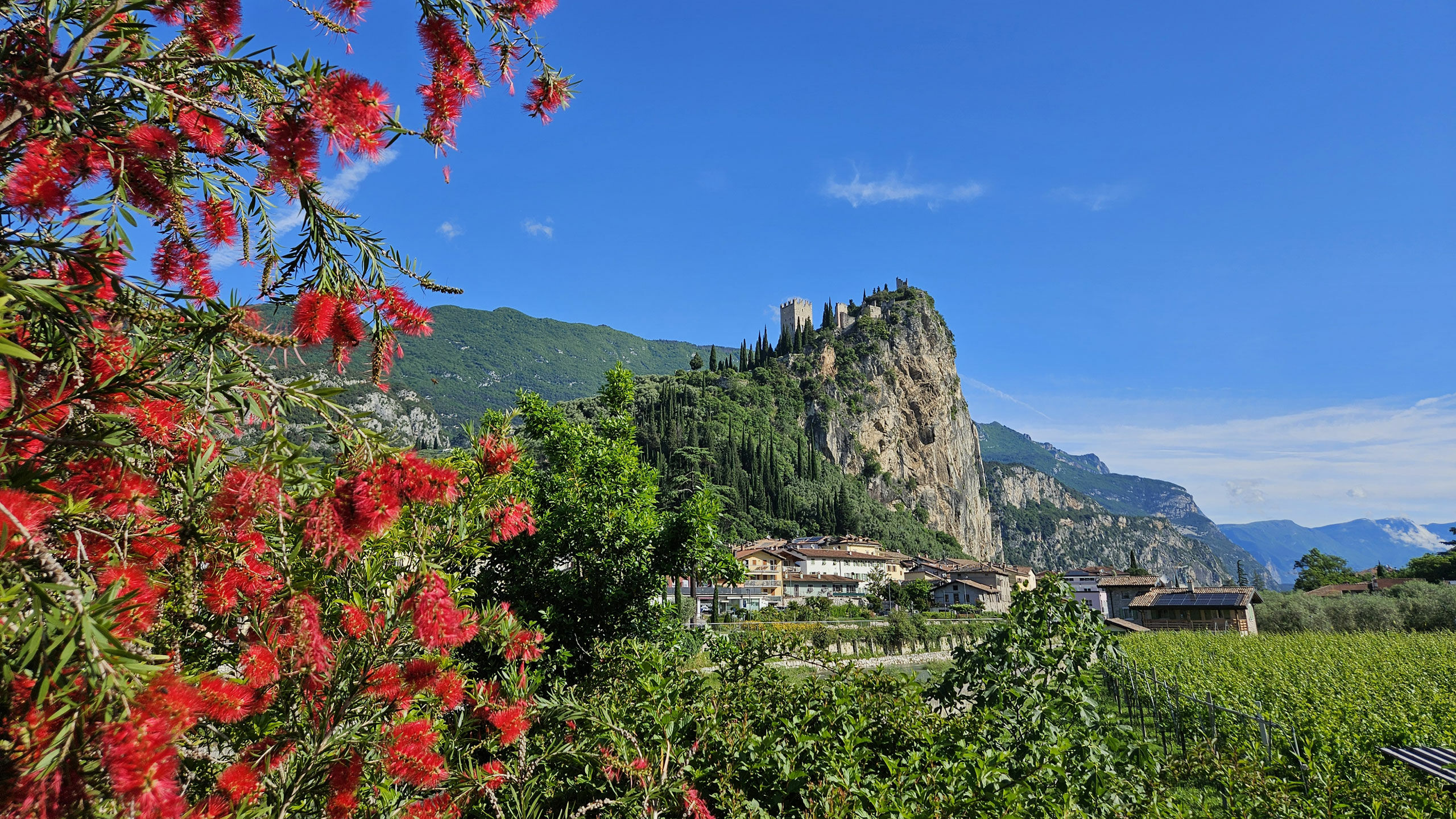 Active & Relax - Active & Relax